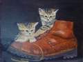 Katter i sko